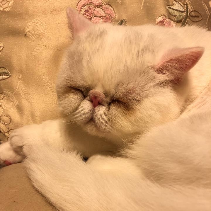 Eb2cc0d8 278f 4af3 8b3d 3d767008606c 1580307592639