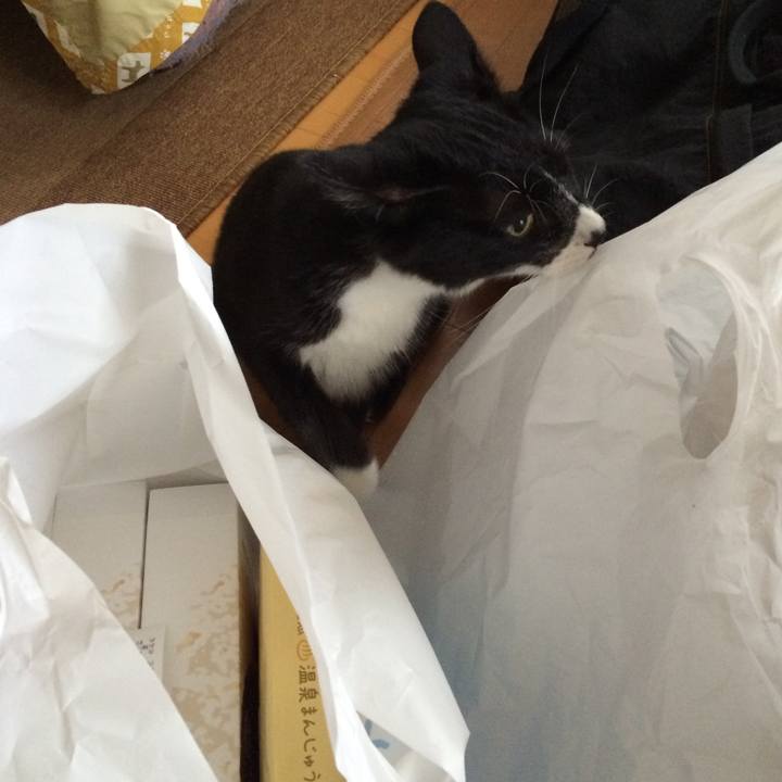 Eb2cc665 6353 48a6 8f56 8ea8bf9d89ed 1508652014382