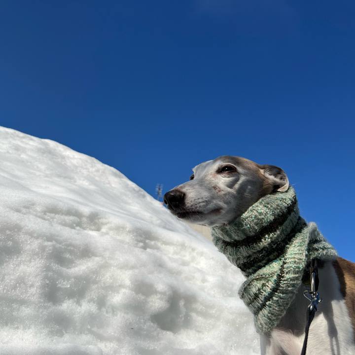 Eb2cdc31 3213 4dcd 8168 172d577c4dec 1772093924476