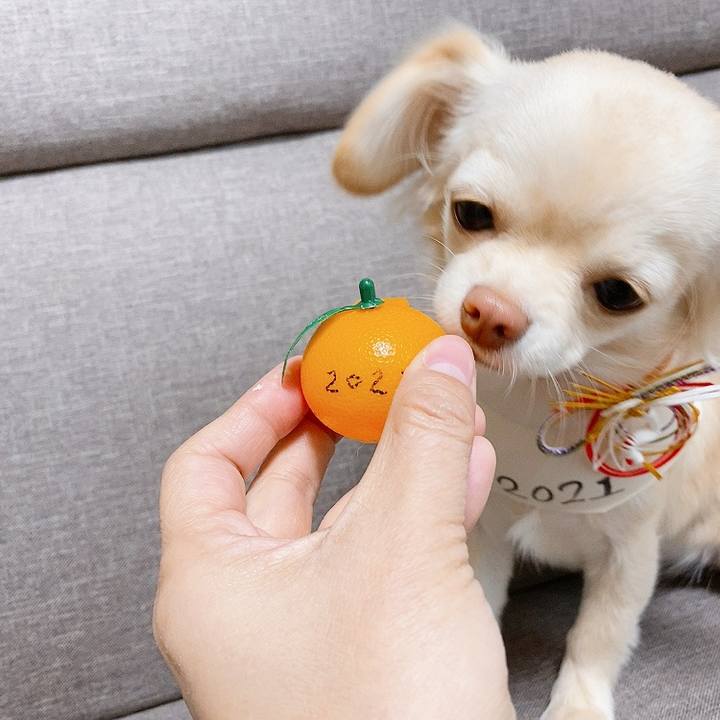 Eb2ce45b fe9f 4fdc b8e7 0f8e5e8935bc 1610725092320