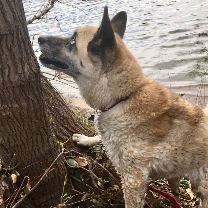 Eb2d1011 ff28 4ee3 8a3b cfc7c0f0d5cb 1524596699645