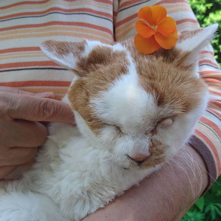 Eb2d3d33 fa65 4d5f aa2d 94fe3b8e90d0 1690691800280