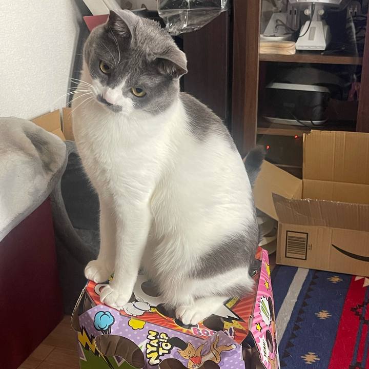 Eb2d4ec9 c490 4052 9358 3d7889e02e08 1645514746366