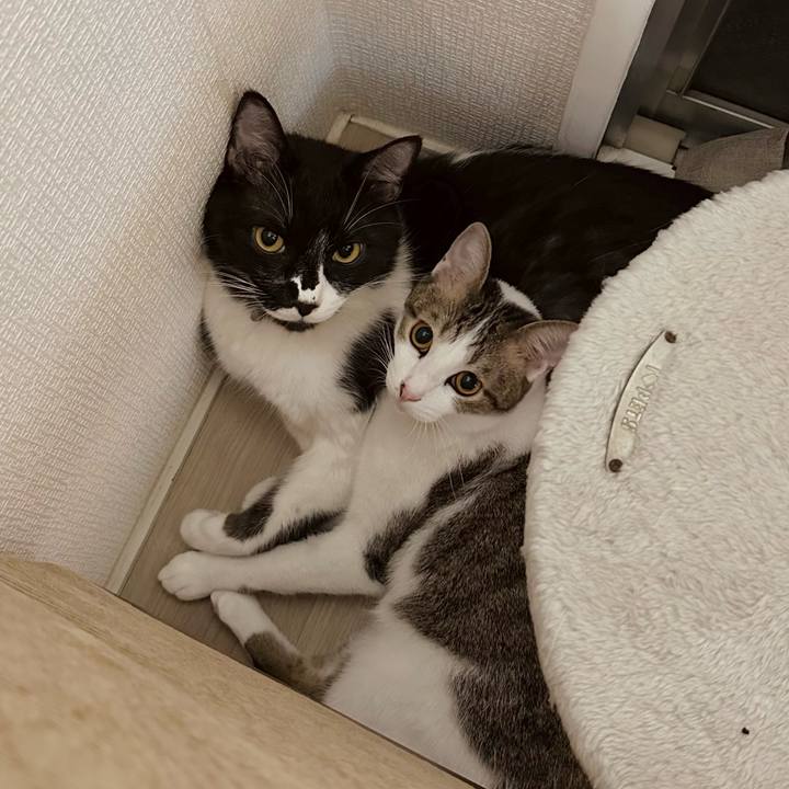 Eb2d50a5 d13f 432d b9f8 f91176747a01 1759937161901