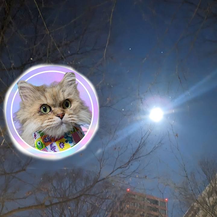 Eb2d7e57 b06f 4e0e b8f8 0edd0d767e40 1703704951113