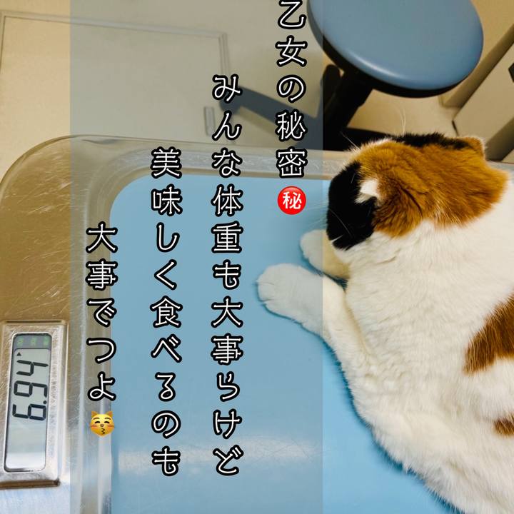 Eb2d894f aa31 4cc9 8966 881f51618b87 1752289299500