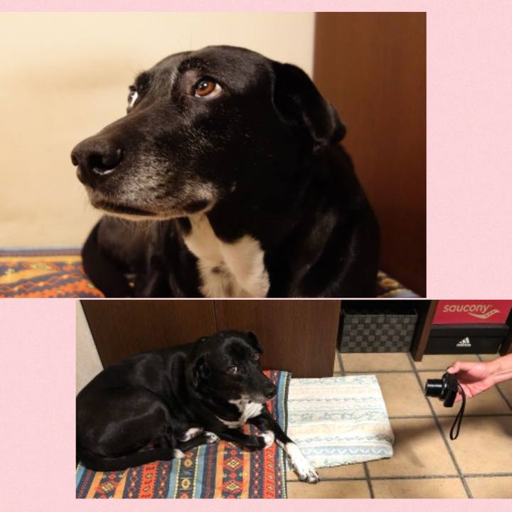 Eb2d9515 fbf5 49e6 8035 0b76d81bb87d 1714819699203