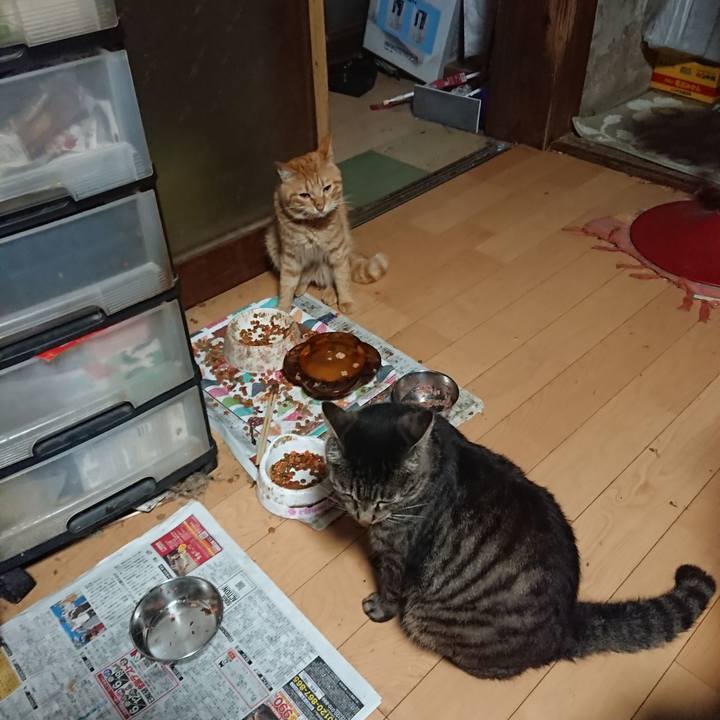 Eb2dbde7 cdf5 46c5 bbd4 adf052066040 1656882314832