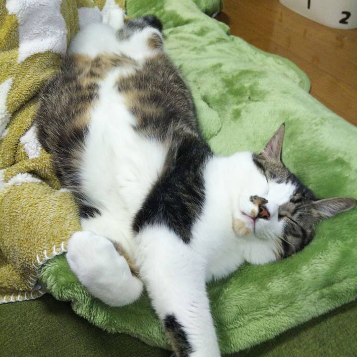 Eb2df596 eb08 4a62 8ebe 81a031b5986f 1636977693338