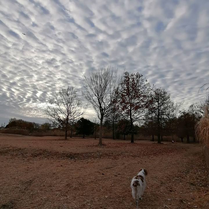 Eb2e12b7 c71a 4d34 9b7a 96ad138b7256 1609067995559