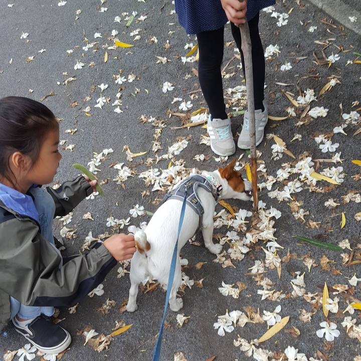 Eb2e14bb 90fc 48a7 bcab 0d8c95960f42 1560069528264