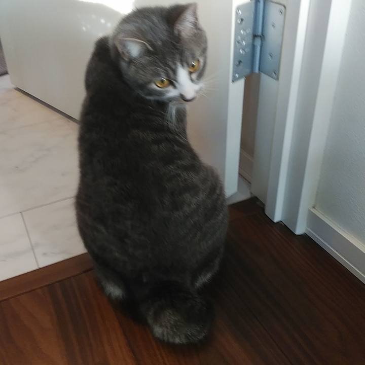 Eb2e33ab 23a0 4e72 9b90 f772918cb806 1580598385158