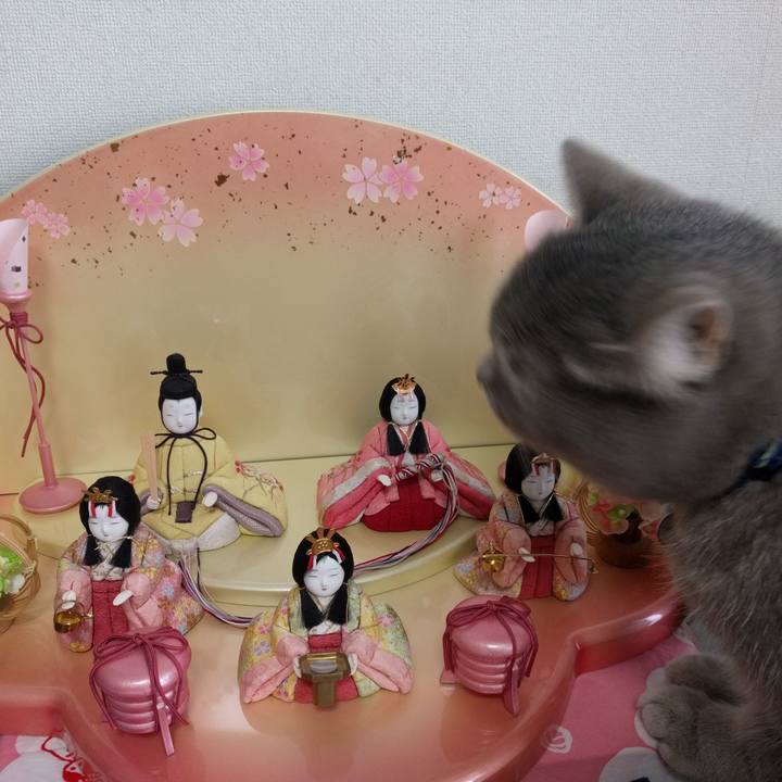 Eb2e3cf7 4b49 43bc b15d 63d490d1a7b2 1551250021358