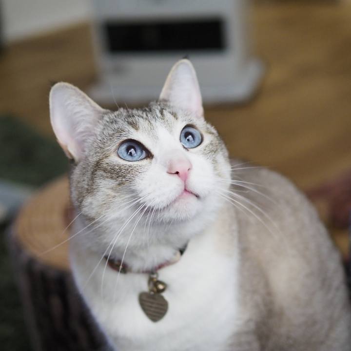 Eb2e5fea 09da 4855 9287 4d27fb661419 1619303944742