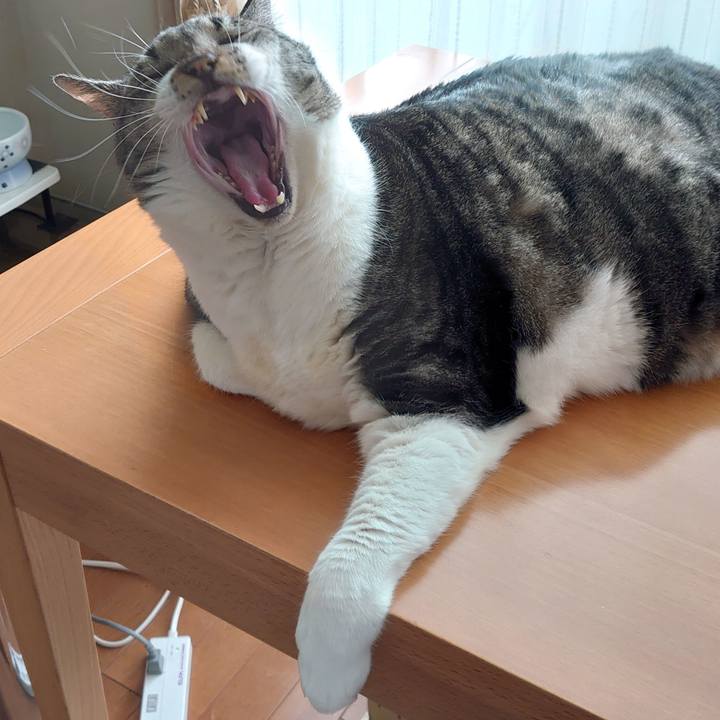 Eb2e7bba 6d8c 4d49 857f 0ff75e8e194b 1666238867569