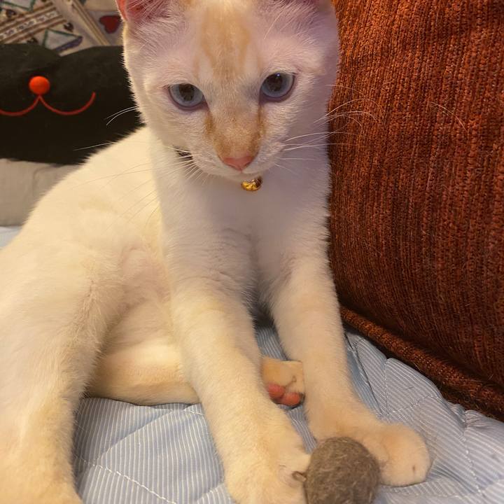 Eb2eb389 cf8d 45d4 ac95 51e507906390 1593405580243