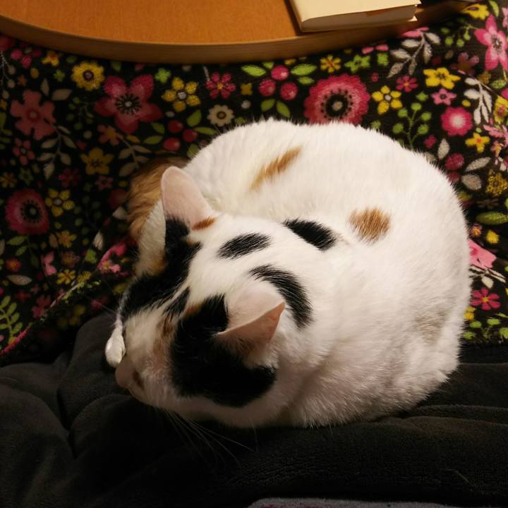 Eb2efb55 ba75 4357 b43f 79fa6bd94816 1546504760358