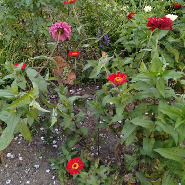 Eb2f3c61 d85c 469f abc4 3560f05dac58 1690281851669