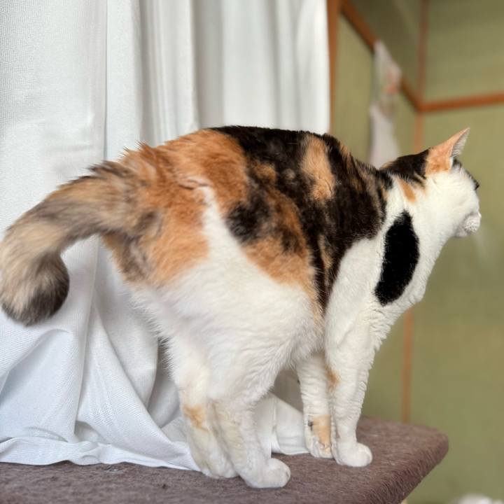 Eb2f7e42 6e5d 4a60 b0f8 93ff4c7d570d 1747015464965