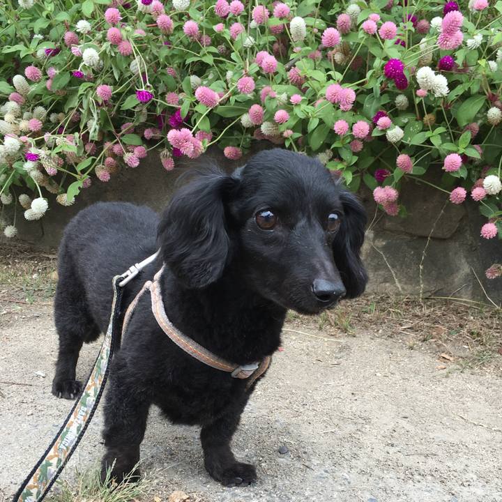 Eb2f936a c15d 418a 902e 190140f248f4 1763558777829