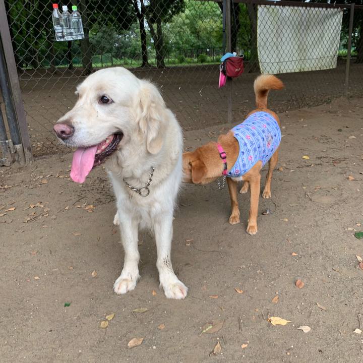 Eb2fdd93 ed94 4263 8a2c c06d2218da88 1565652692740