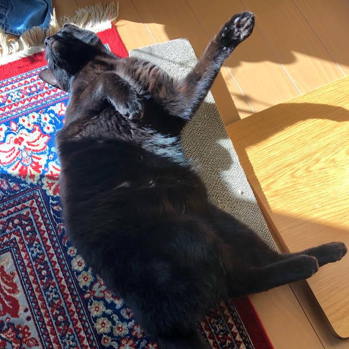 Eb303ba4 959d 44f6 b1e1 0590f7f71ec5 1548557108705