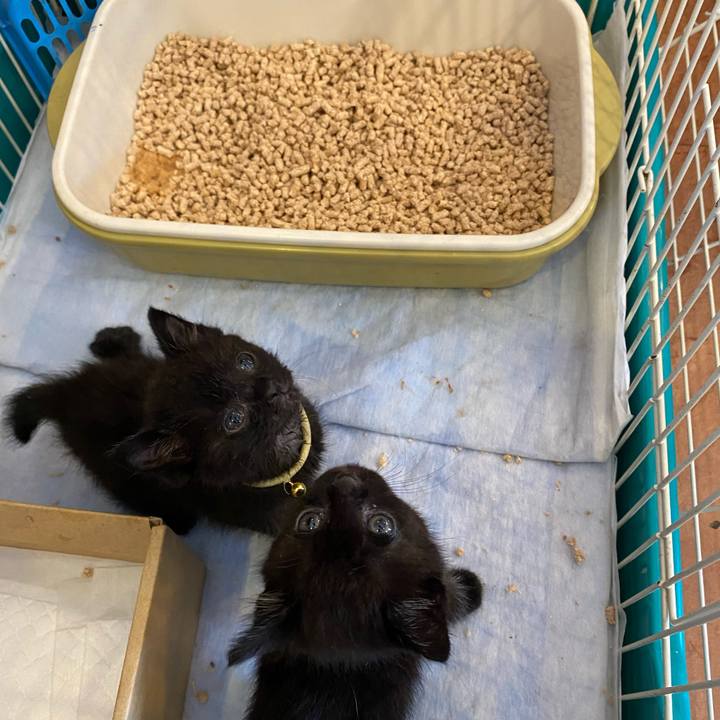 Eb30541d 6a5d 49a1 8e38 94aaa8fcefa9 1621575820231