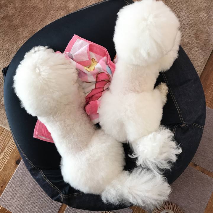 Eb307fbd 6e2d 4404 a241 43cb7fe7defd 1553213328851