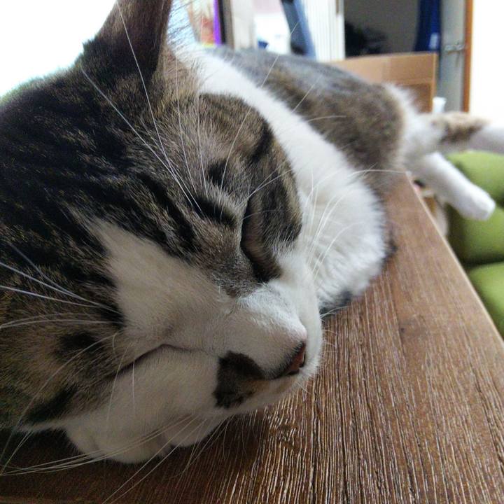 Eb30bde2 3110 4afc 91e3 466ea957f248 1641990818504