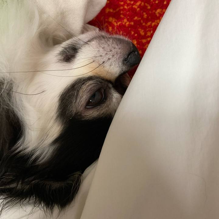 Eb3133cf 37c6 4521 aa2a b90a667d92ff 1690037228117