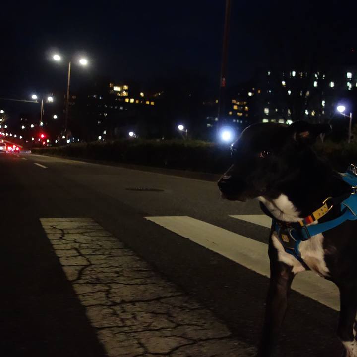 Eb3167ee 9f19 4091 a704 503d008abbf5 1616063616998