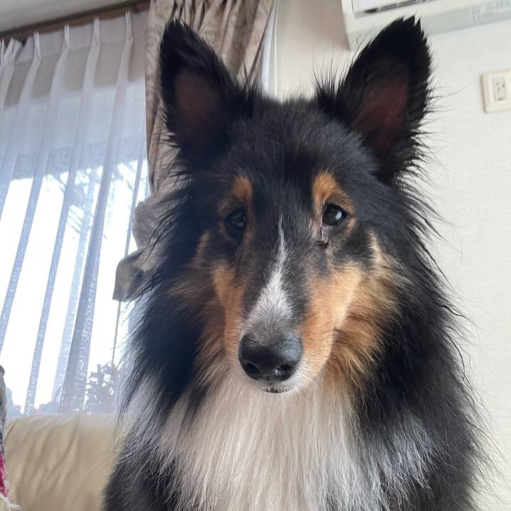 Eb317219 9d5d 4348 820b 2a45f8094cd2 1610759580508