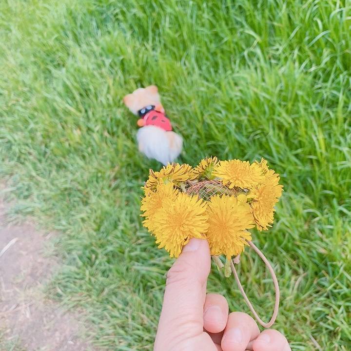 Eb319135 ceef 4723 aa6c 7386427d5011 1619598026792