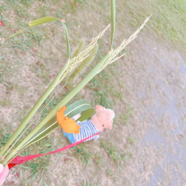 Eb31a67c 55bd 4b65 85e1 573ed3a66b41 1662715811396