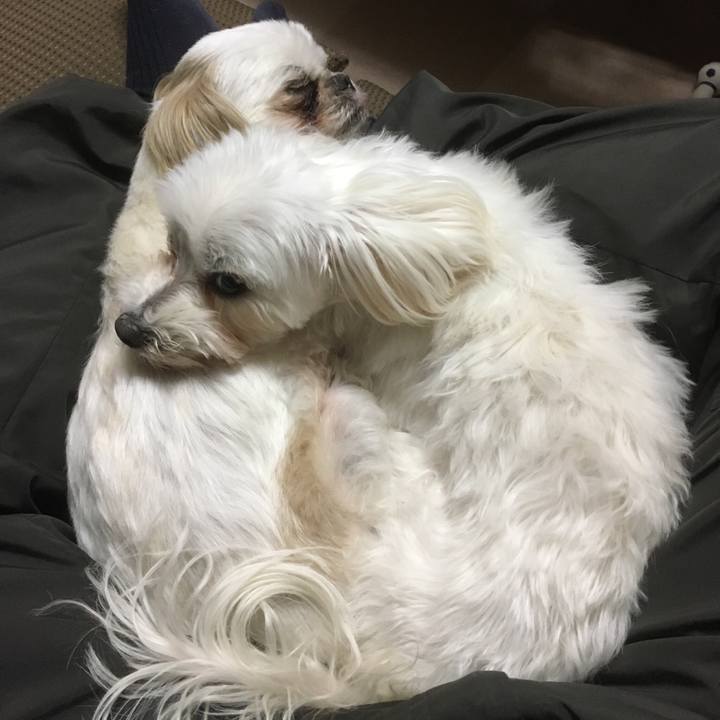 Eb31ddd7 ae88 45c9 b77d 524a8e5a4bf9 1512130722101