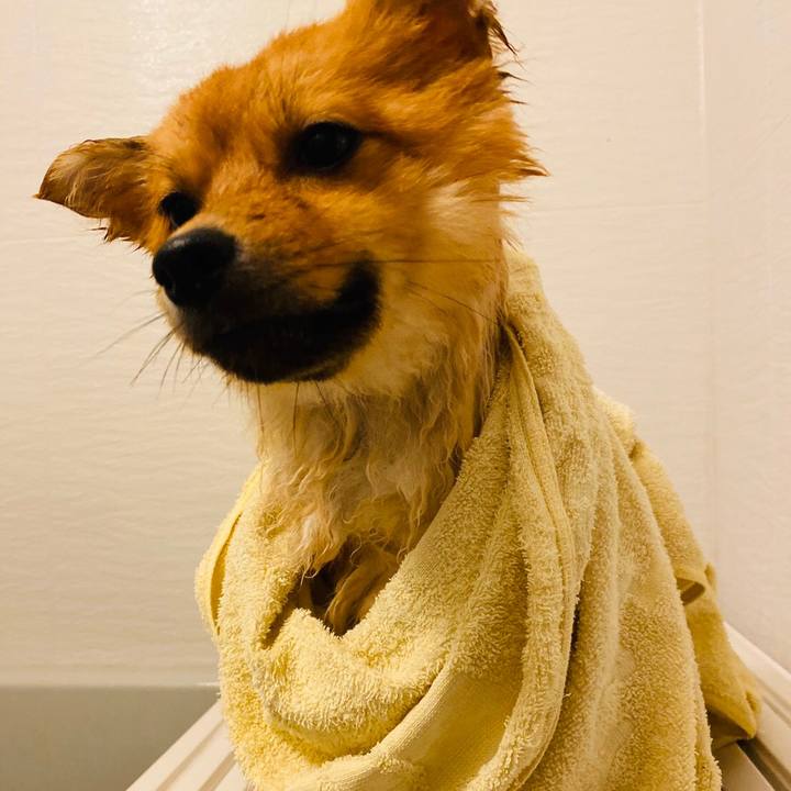 Eb31ecfc 5075 4f15 8c38 c9cff77464e5 1595371223478