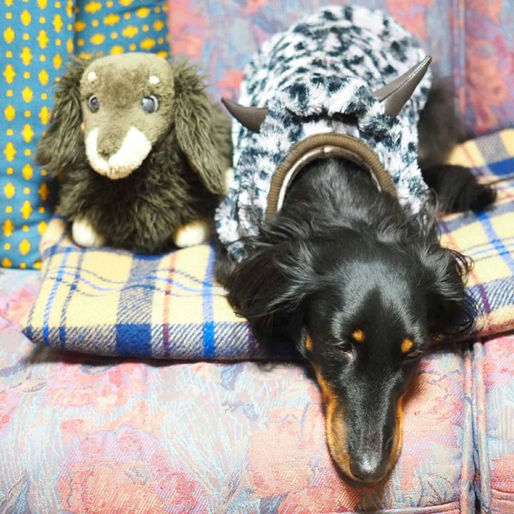 Eb322340 53f6 4180 8c39 2d9bcec75036 1518842284947