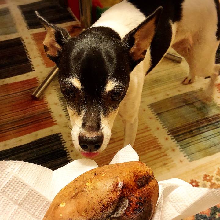 Eb324a8d 7040 41cc b9aa 8707a0a151a9 1537628044055