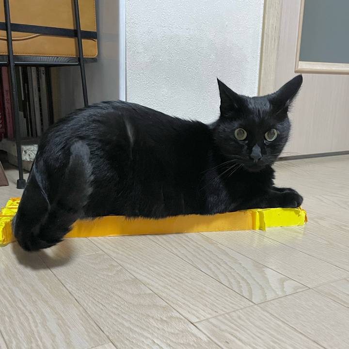 Eb3257ac 471e 4d3a 8eed 8f9d2c1f3f14 1668517155405