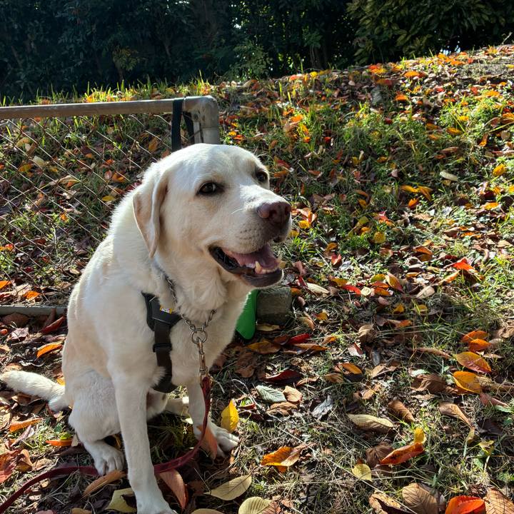 Eb328a99 b730 48d9 b615 6057742bb26a 1762754208663