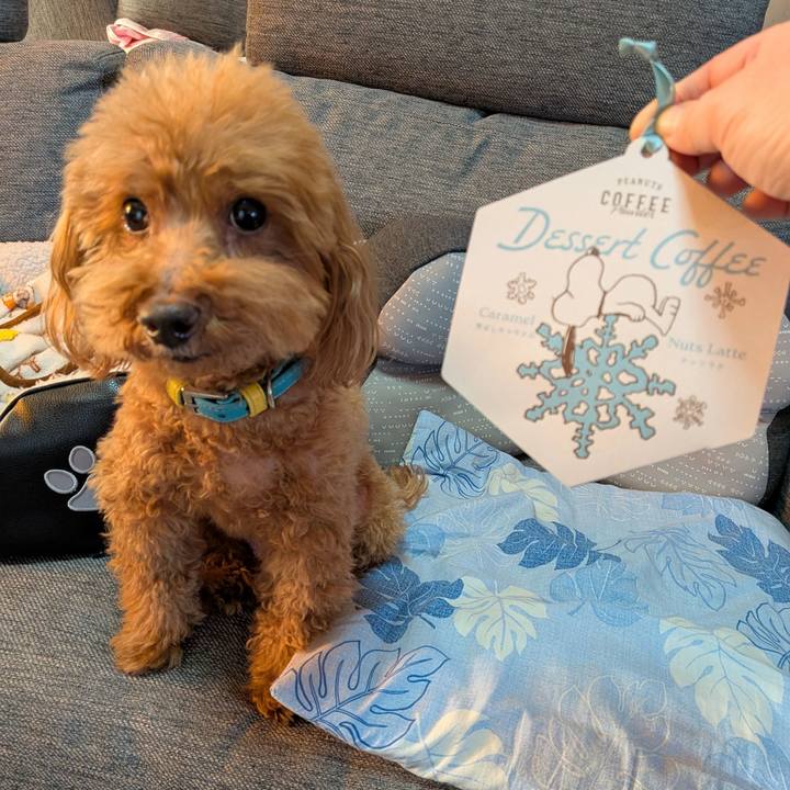 Eb32c8ac a8c6 4d09 a275 a6dd8d7448a2 1768029773933