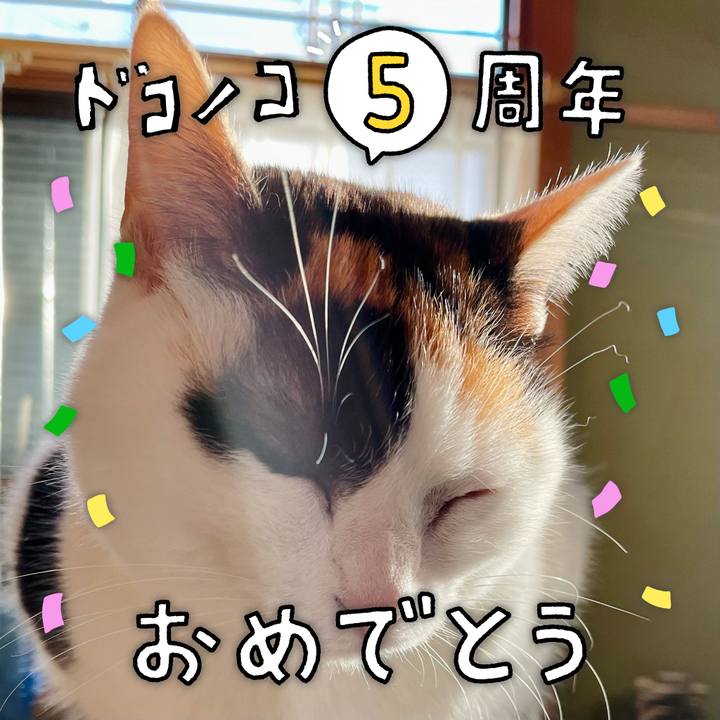 Eb32cb37 6f62 46f0 af61 35a07a8c8432 1622859053766