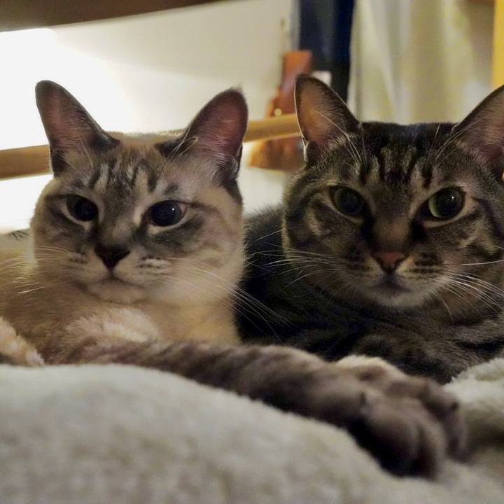 Eb32eaf9 4488 48b4 953d 13e0d100273b 1670158912733