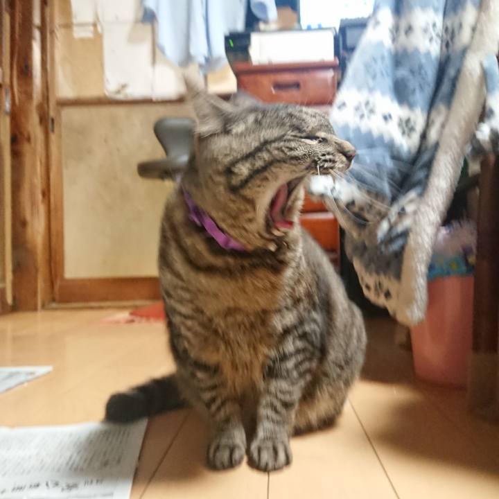 Eb33090d 0d14 456a 8623 199f166f617d 1651573383960