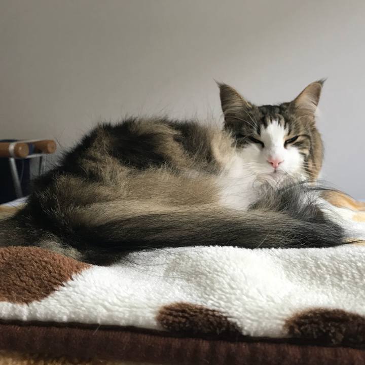 Eb3342cf 3db2 4758 905e 09c995bf8264 1528255474247