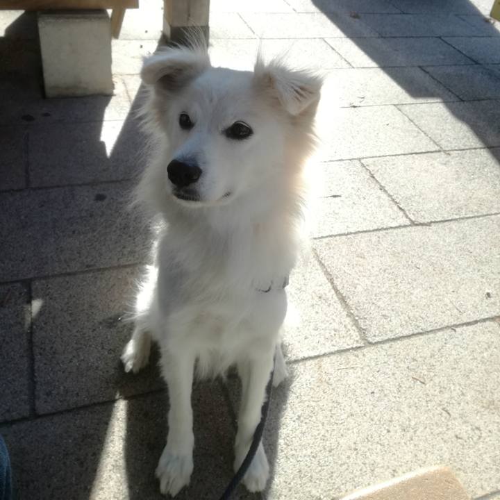 Eb3369d6 9f29 4fa8 83ee 52458a7bcd89 1511064457486