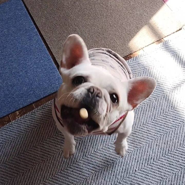 Eb3377e1 1bd2 47cb 93f9 229478f8ba55 1676602786595