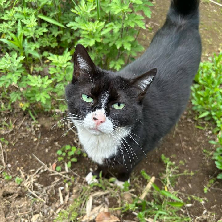 Eb33b0e2 9c73 44c0 8837 1838ac76480d 1714132580365