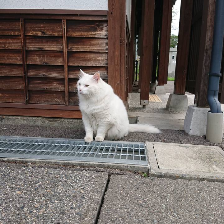 Eb33b535 0070 4d9a b309 18dcca7d63c3 1564352854301