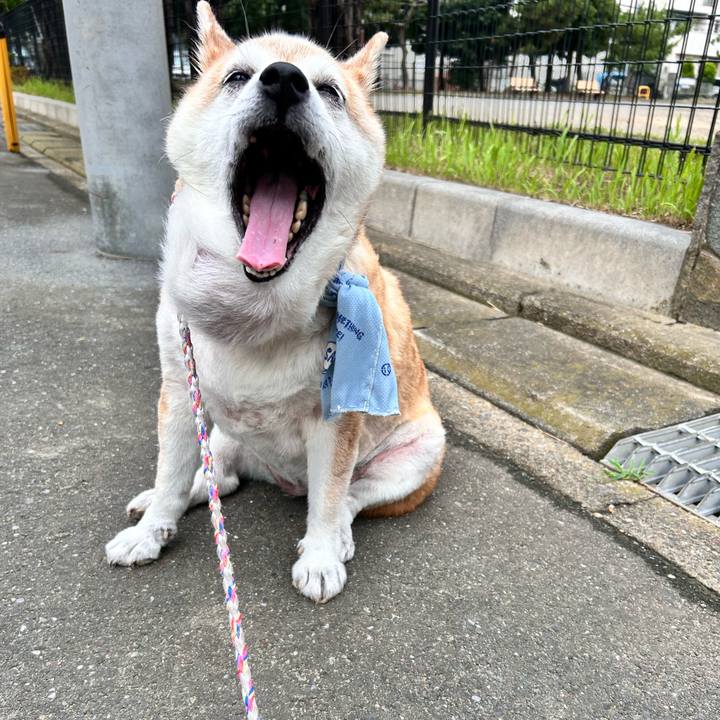 Eb33d28d 43f6 4760 af98 86b4a4c4f498 1752620531120